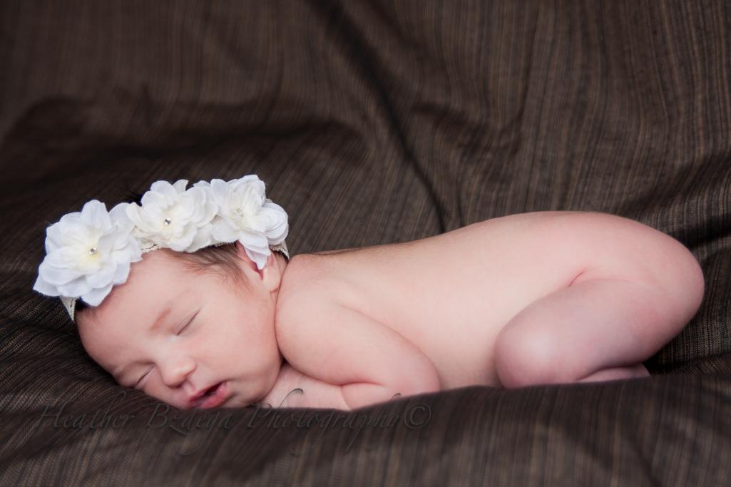 Name:  IMG_1129-3.jpg
Views: 569
Size:  58.2 KB