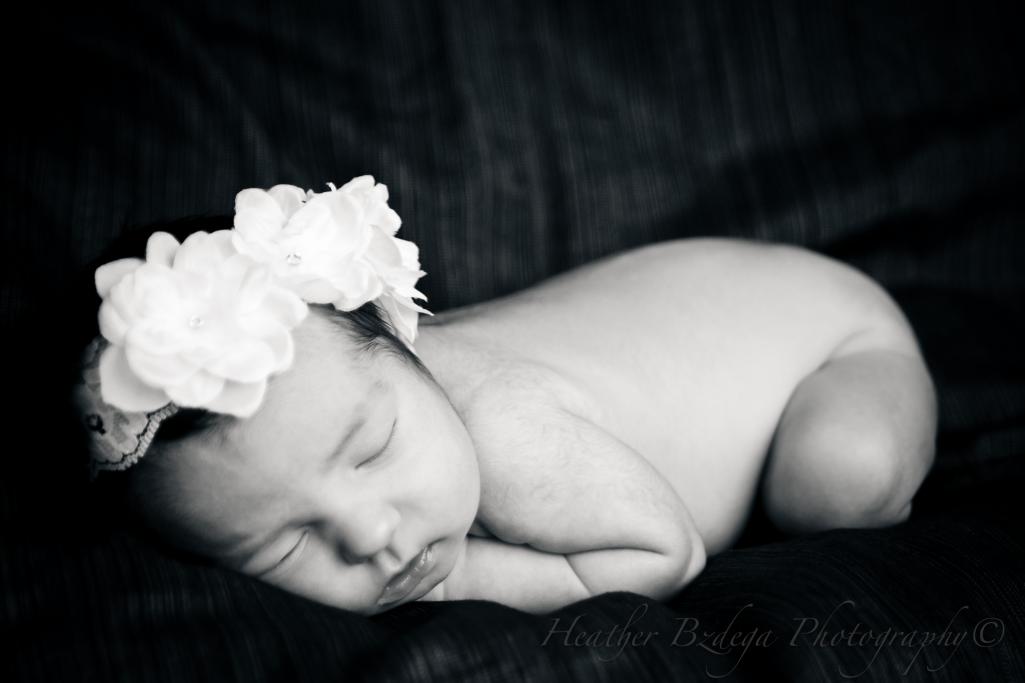 Name:  IMG_1144-2.jpg
Views: 558
Size:  42.0 KB