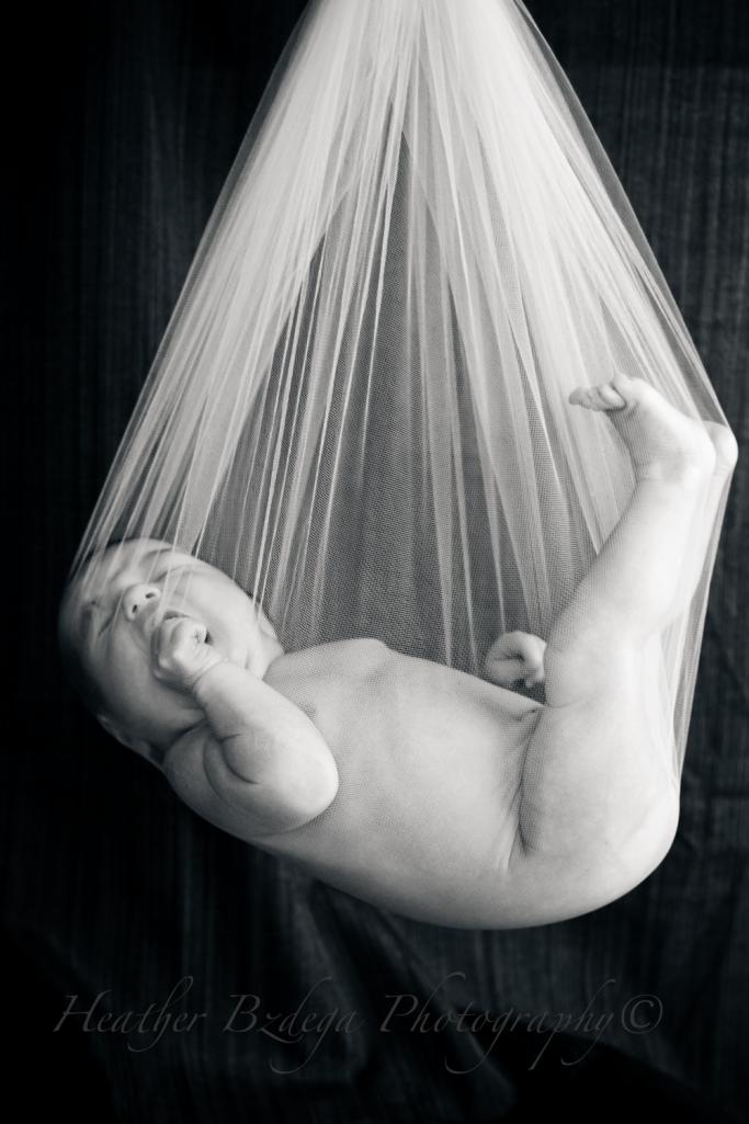 Name:  IMG_1185.jpg
Views: 648
Size:  68.8 KB