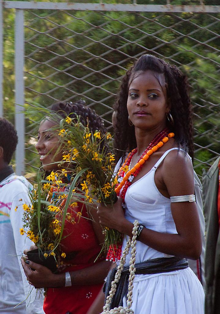 Name:  IMG_4463.jpg
Views: 1179
Size:  130.0 KB