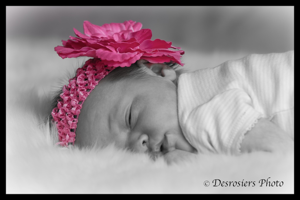 Name:  FAM - 672 - 2012.jpg
Views: 358
Size:  135.6 KB