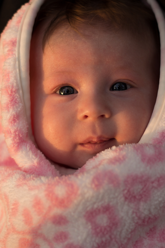 Name:  baby.jpg
Views: 376
Size:  200.4 KB