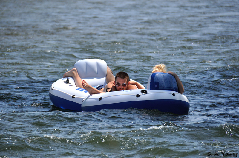 Name:  Rafters 9.jpg
Views: 290
Size:  227.4 KB