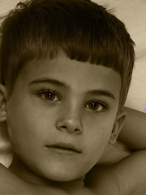 Name:  ate sepia.jpg
Views: 539
Size:  232.0 KB