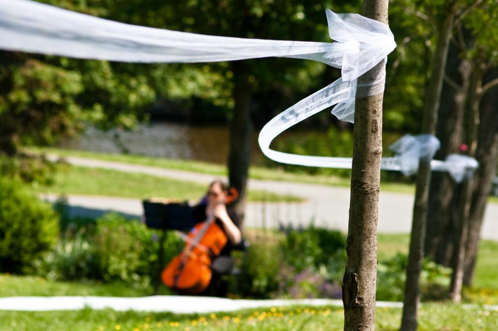 Name:  Wedding (161 of 290).jpg
Views: 464
Size:  80.8 KB