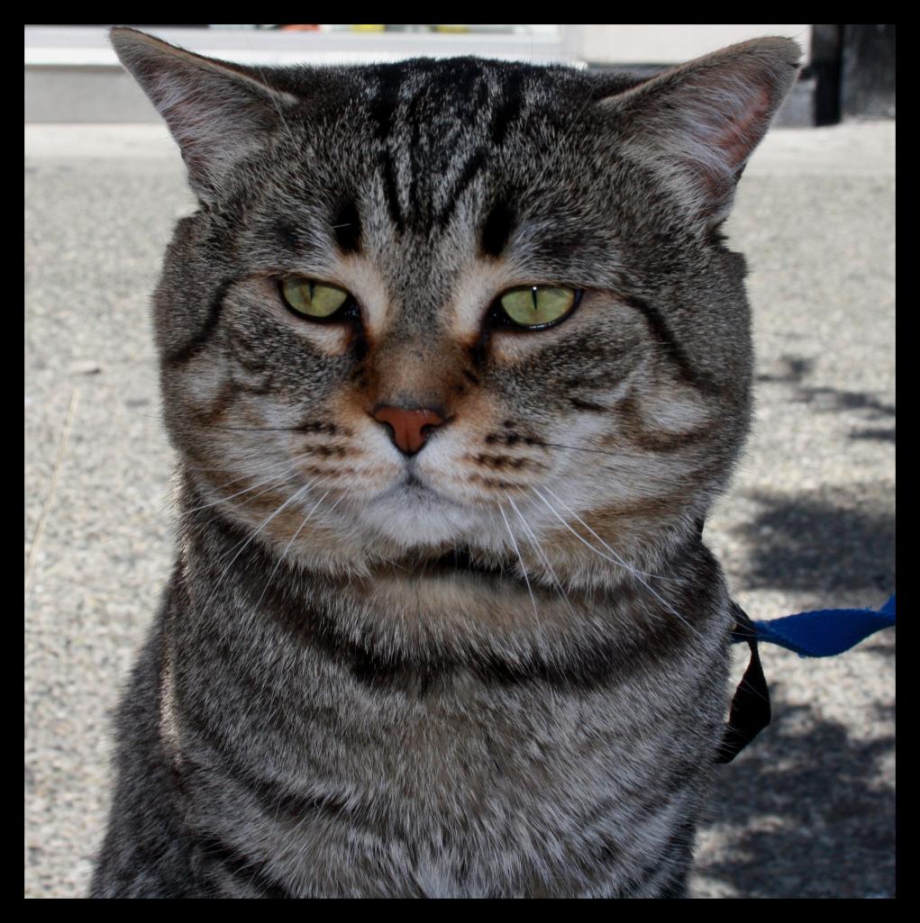 Name:  001.jpg
Views: 412
Size:  162.5 KB