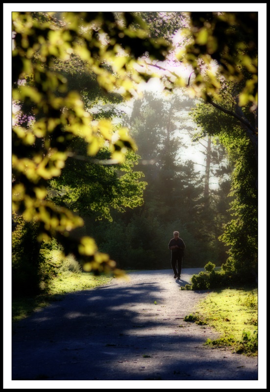 Name:  IMG_2278_edited.jpg
Views: 430
Size:  183.6 KB