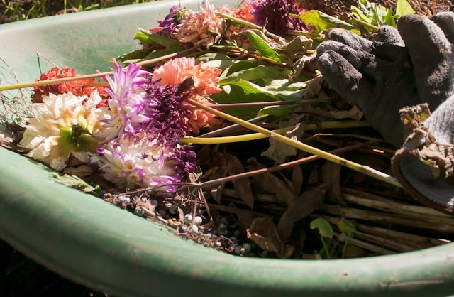 Name:  flowers.jpg
Views: 325
Size:  109.7 KB
