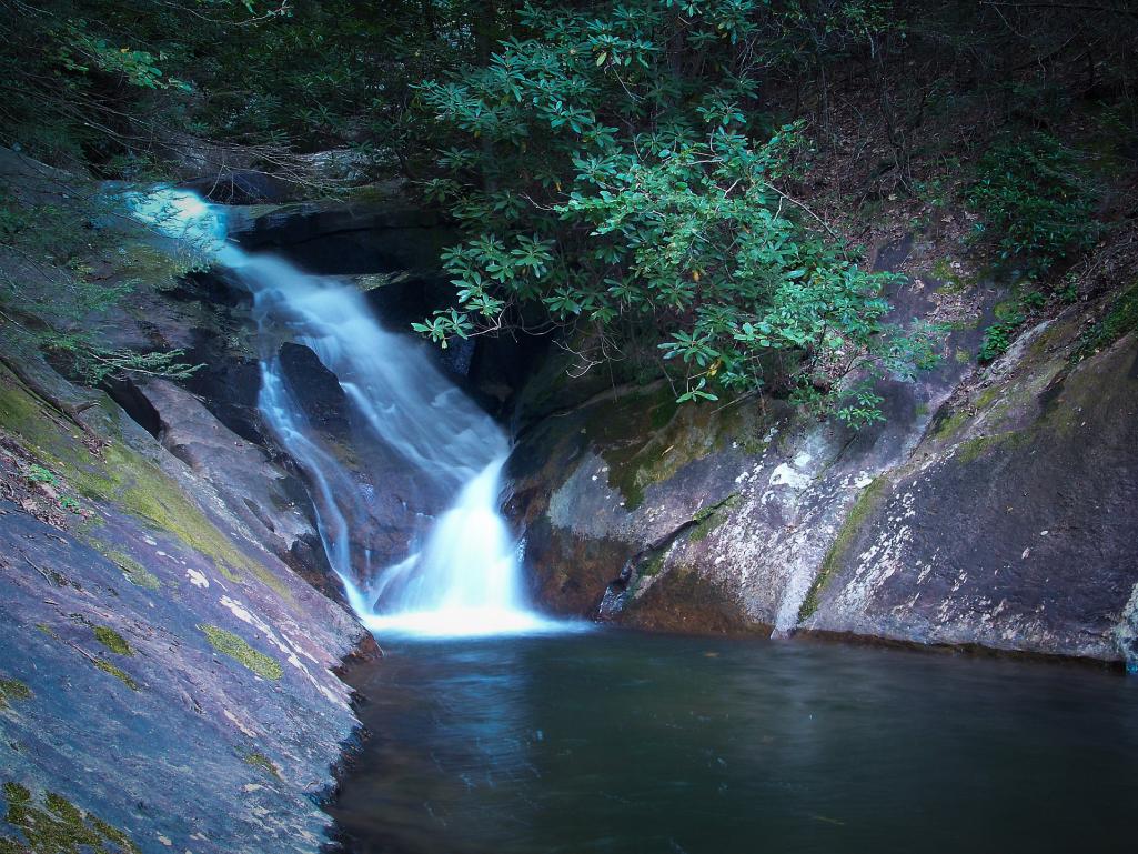 Name:  100_6438.jpg
Views: 603
Size:  172.9 KB