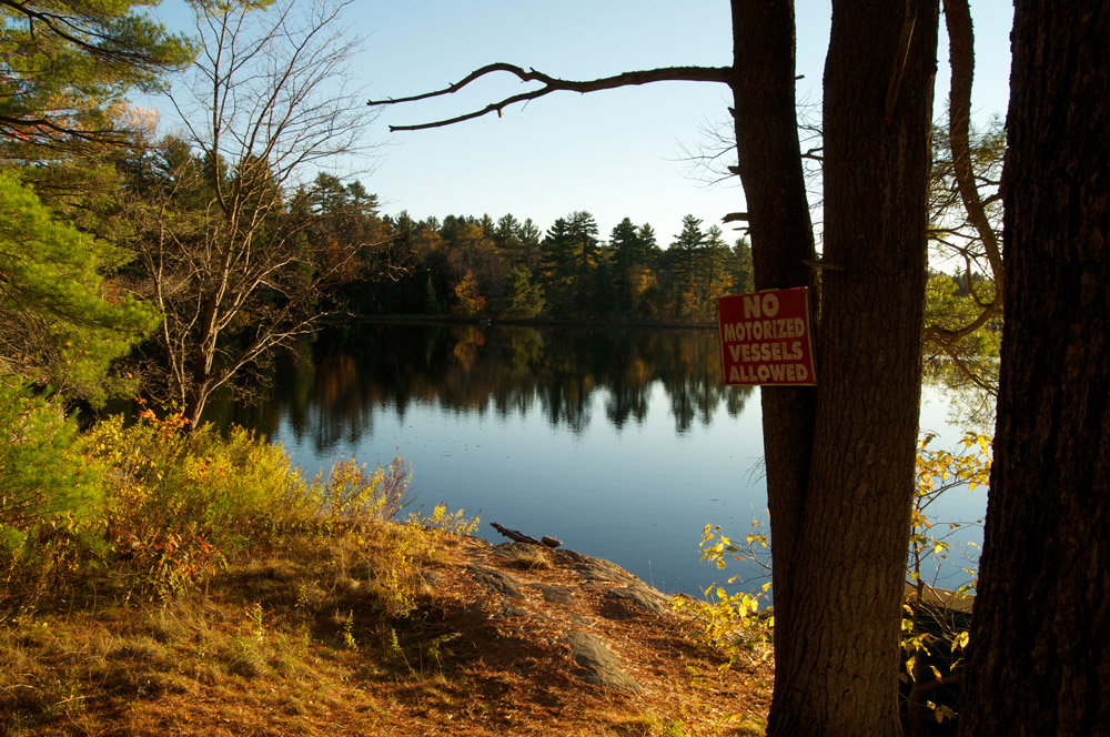 Name:  _DSC0609_1000px_sm.jpg
Views: 704
Size:  295.0 KB