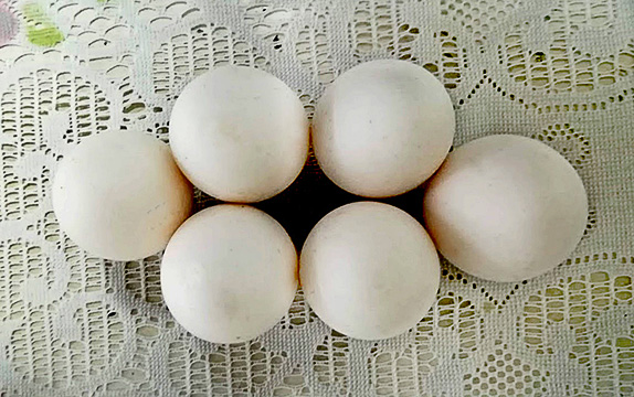 Name:  eggs.jpg
Views: 526
Size:  125.9 KB