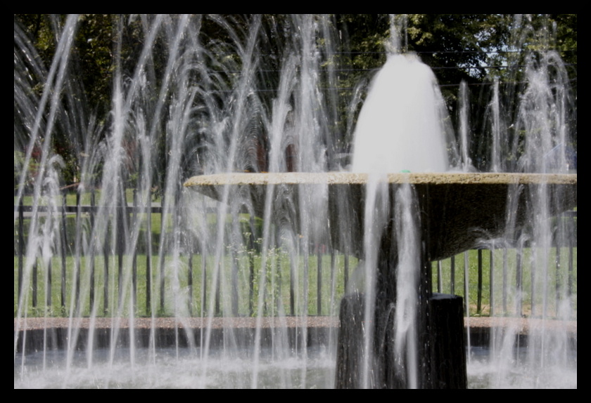 Name:  IMG_3863.JPG
Views: 535
Size:  192.3 KB
