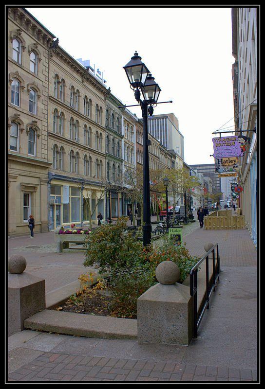 Name:  IMG_5316.CR2.jpg
Views: 1192
Size:  243.0 KB