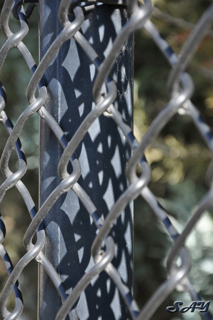 Name:  Knotwork 2.jpg
Views: 412
Size:  223.4 KB