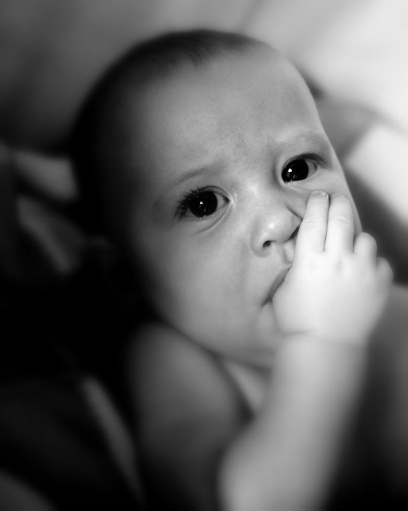 Name:  IMG_7834sully and thumb adorablebwsf.jpg
Views: 774
Size:  37.5 KB