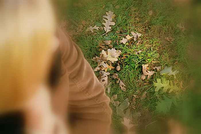 Name:  oak and eden resize.jpg
Views: 1587
Size:  37.8 KB