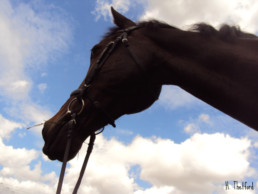Name:  PhotoAssignmentJuly.jpg
Views: 376
Size:  185.4 KB