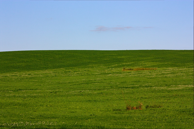 Name:  IMG_1219_edited.jpg
Views: 432
Size:  175.8 KB