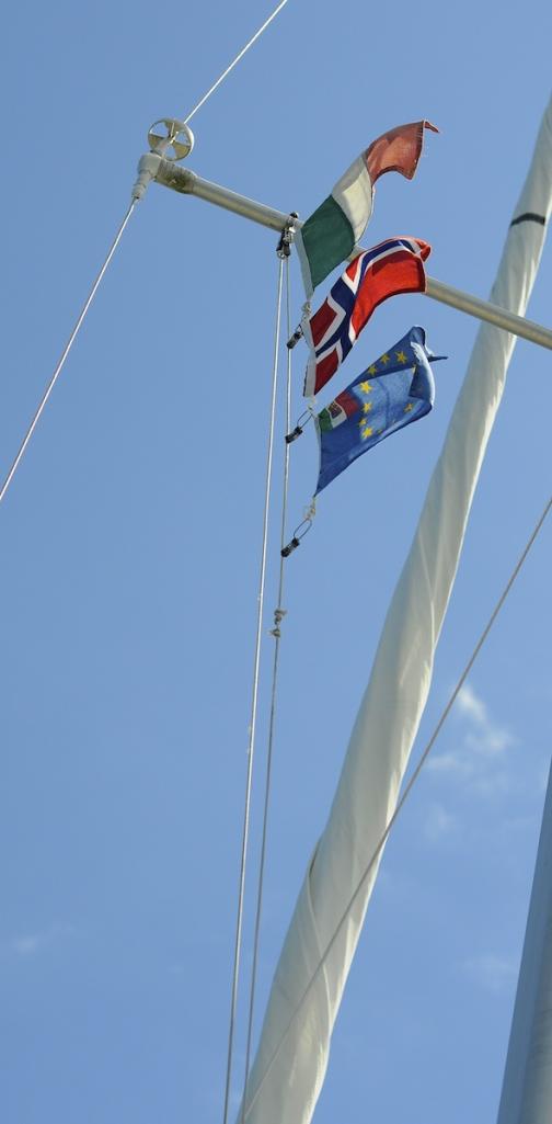 Name:  Nauja flags.jpg
Views: 366
Size:  31.2 KB