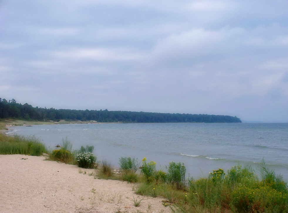 Name:  realist-beach.jpg
Views: 784
Size:  176.5 KB