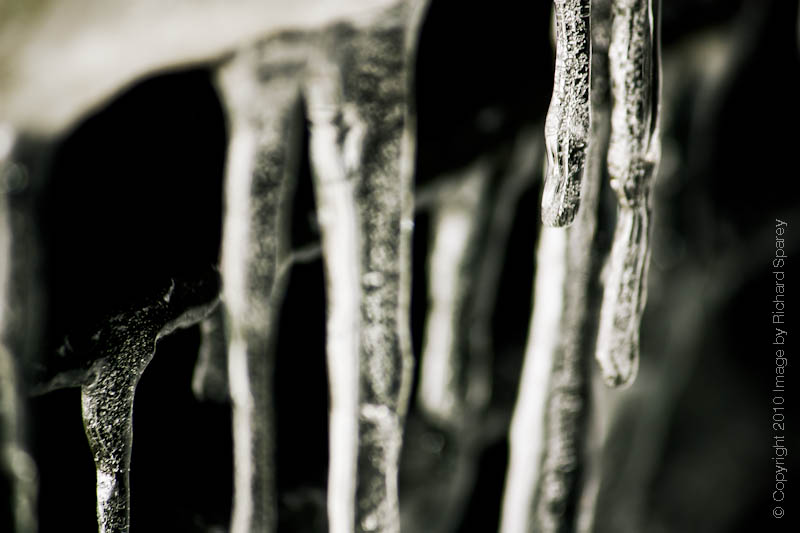 Name:  IMG_4028-Edit.jpg
Views: 422
Size:  84.2 KB