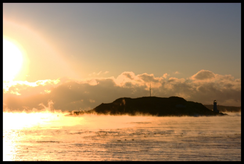 Name:  IMG_5918_edited.jpg
Views: 466
Size:  128.5 KB