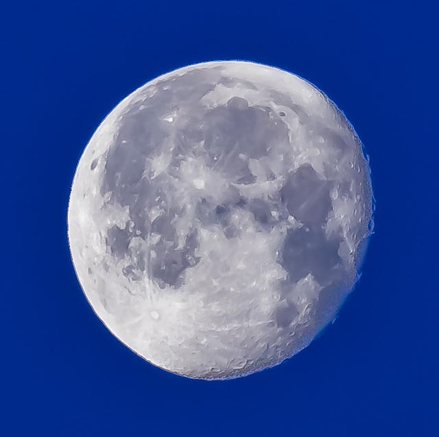 Name:  2010_12_23_1134.jpg
Views: 623
Size:  58.1 KB