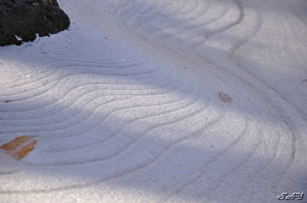 Name:  Ice 6.jpg
Views: 504
Size:  190.3 KB