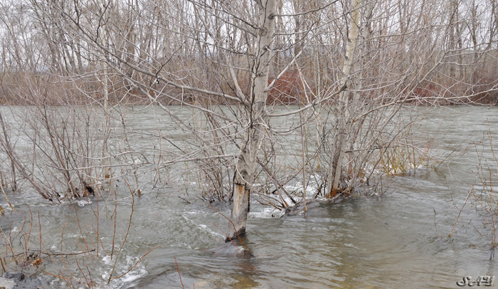 Name:  River 1.jpg
Views: 276
Size:  206.3 KB