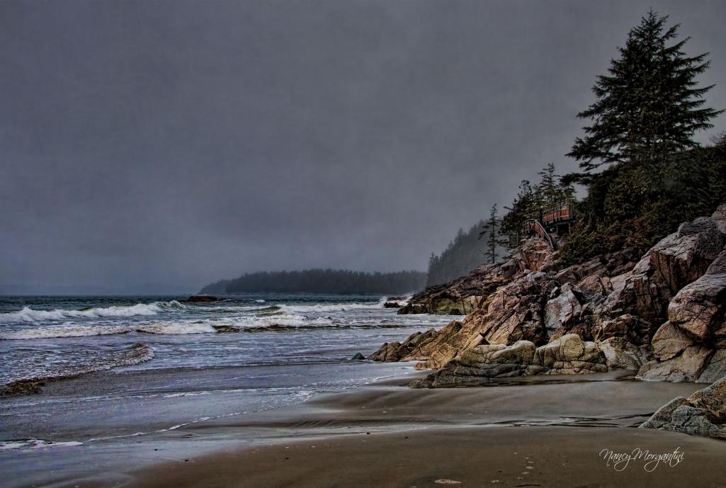 Name:  Tofino-beach.jpg
Views: 189
Size:  93.1 KB