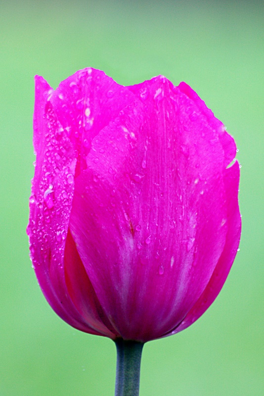 Name:  IMG_9010_edited.jpg
Views: 402
Size:  178.3 KB