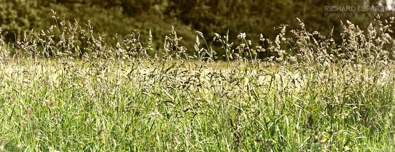 Name:  IMG_1690-Edit.jpg
Views: 470
Size:  159.6 KB
