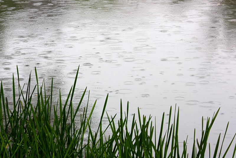 Name:  IMG_1505_edited-1.jpg
Views: 509
Size:  224.5 KB