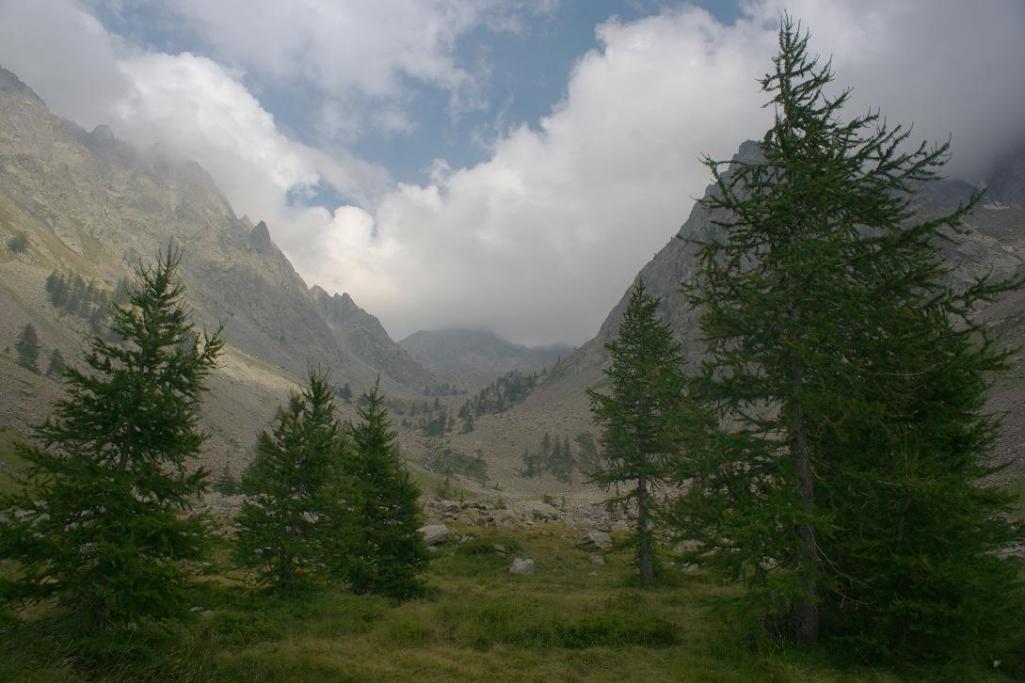 Name:  valley2 ru.jpg
Views: 596
Size:  85.1 KB
