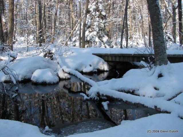 Name:  IMG_1776.jpg
Views: 541
Size:  63.0 KB
