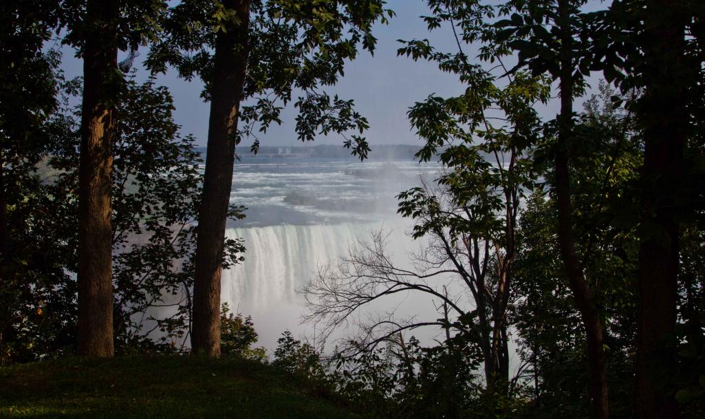 Name:  2011_09_13_2656.jpg
Views: 348
Size:  134.4 KB