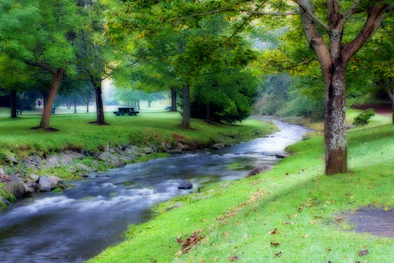Name:  IMG_4908_edited_orton.jpg
Views: 365
Size:  163.1 KB