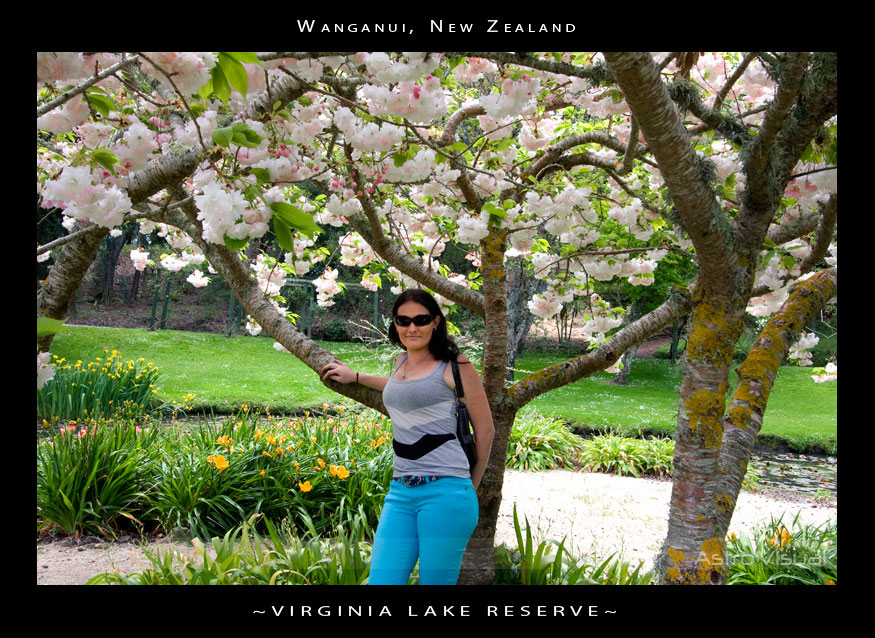 Name:  la-0355-virginialake.jpg
Views: 512
Size:  228.6 KB