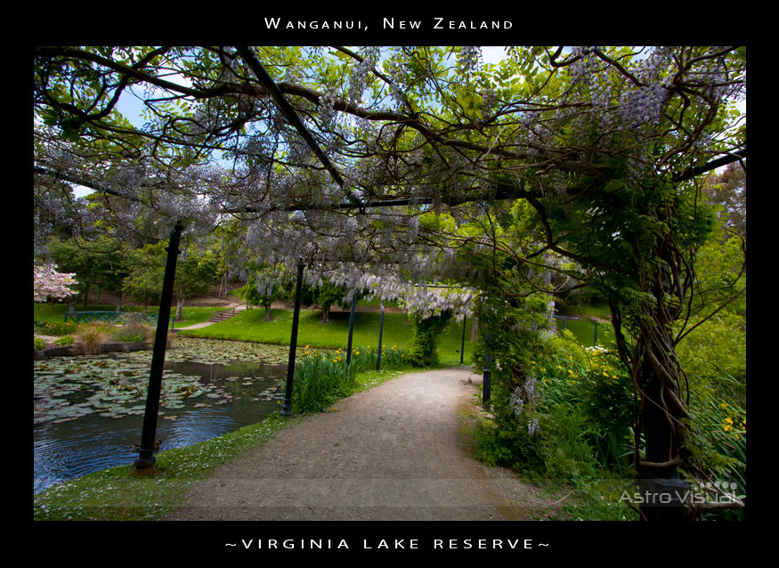 Name:  la-0346-virginialake.jpg
Views: 541
Size:  226.2 KB