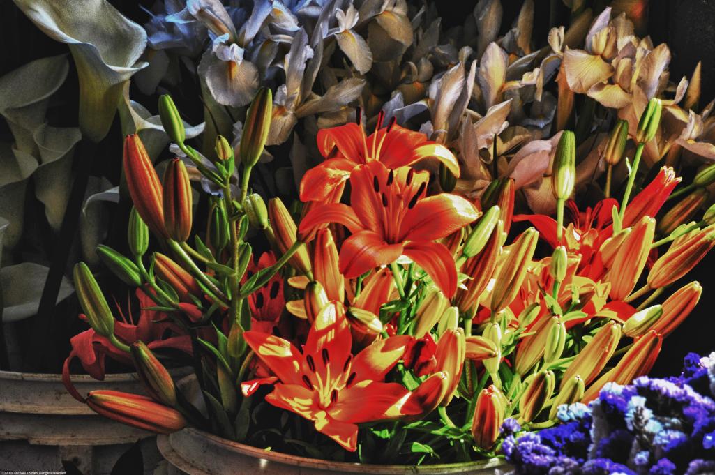 Name:  fire_hdr.jpg
Views: 328
Size:  130.9 KB