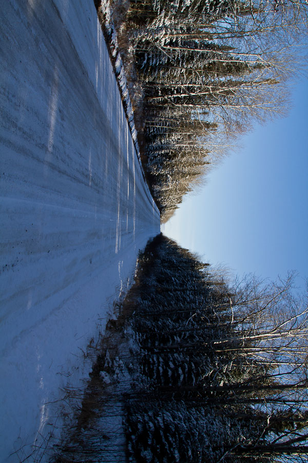 Name:  sunnyside up.jpg
Views: 527
Size:  195.0 KB