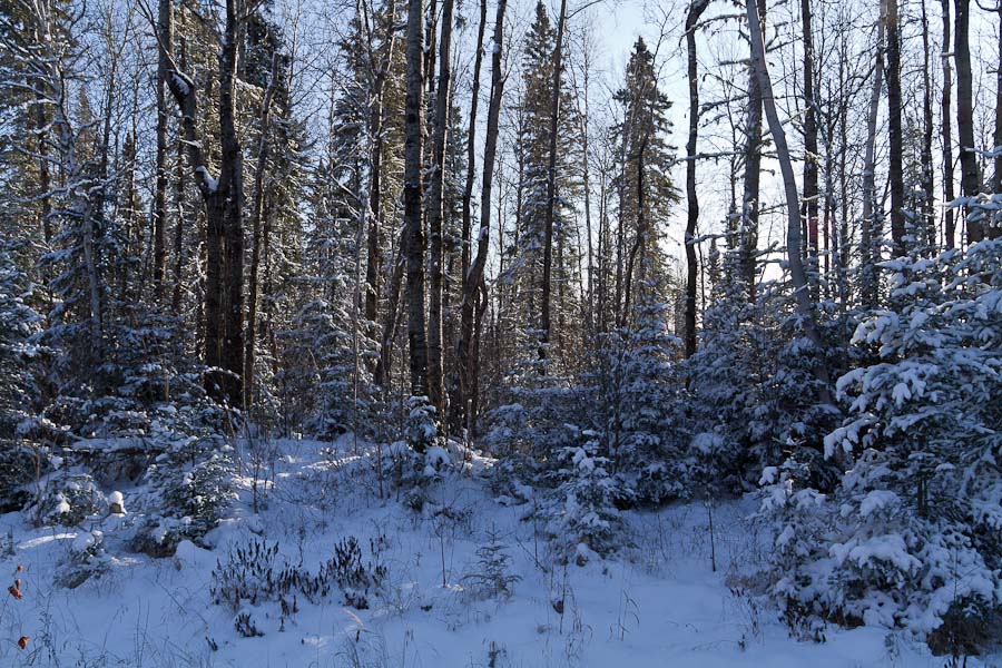 Name:  winter scene.jpg
Views: 519
Size:  198.2 KB