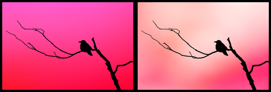 Name:  Alternate backgrounds.jpg
Views: 250
Size:  131.3 KB