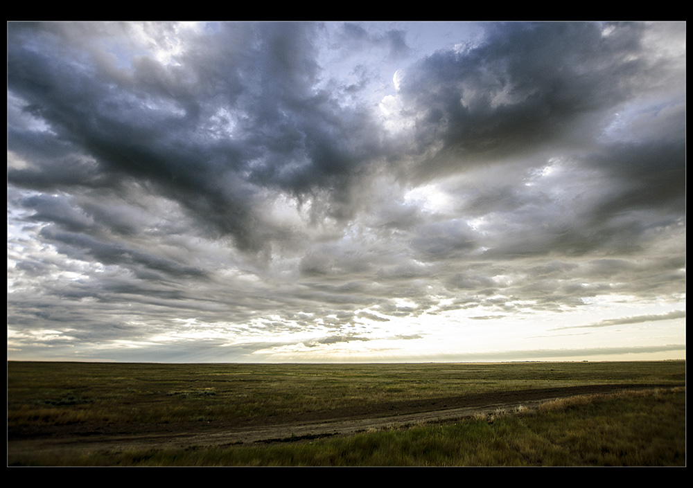 Name:  prarie morning.jpg
Views: 119
Size:  223.2 KB