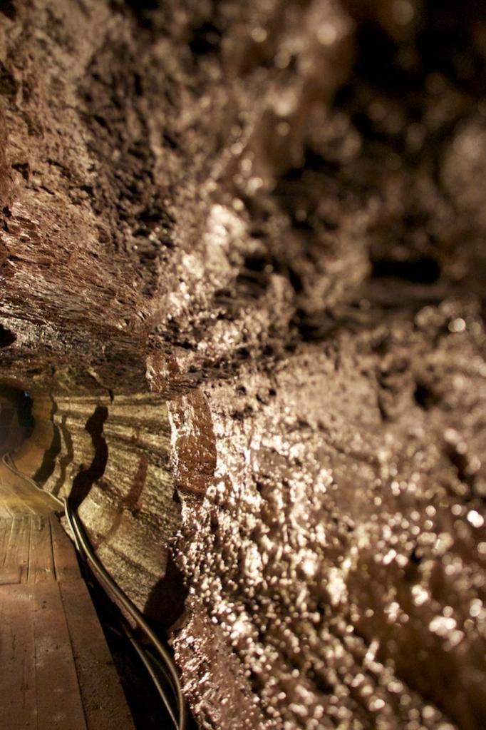 Name:  cave 2 392.jpg
Views: 316
Size:  111.9 KB