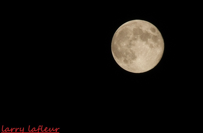 Name:  IMG_3711.JPG
Views: 1149
Size:  48.9 KB