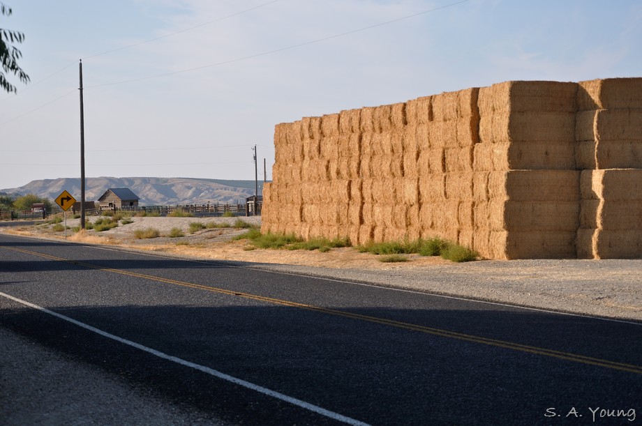 Name:  Road 3.jpg
Views: 524
Size:  141.8 KB