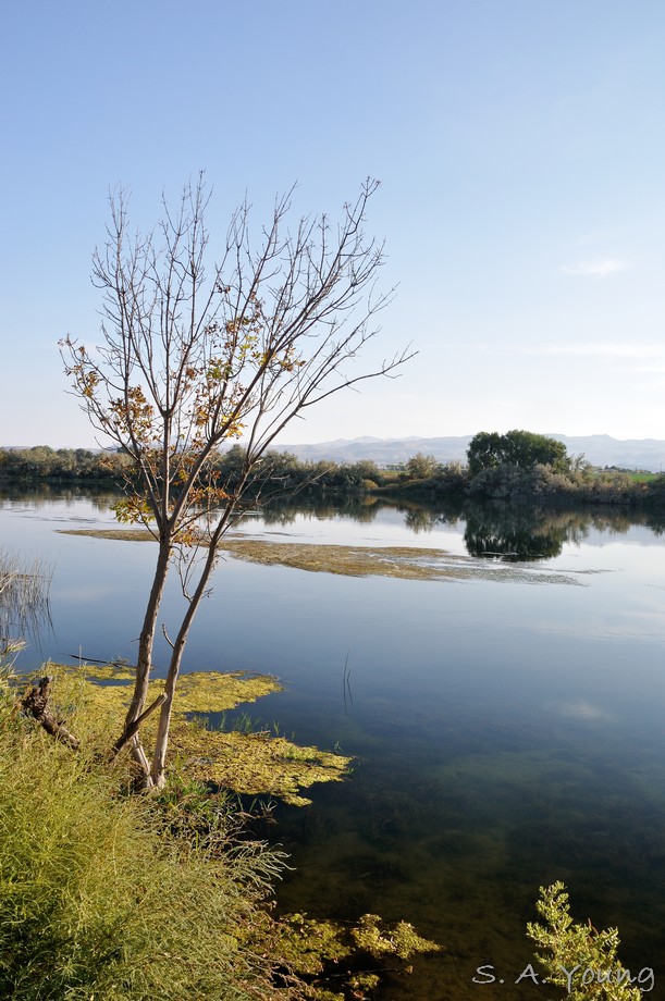Name:  Snake River 1.jpg
Views: 569
Size:  162.6 KB