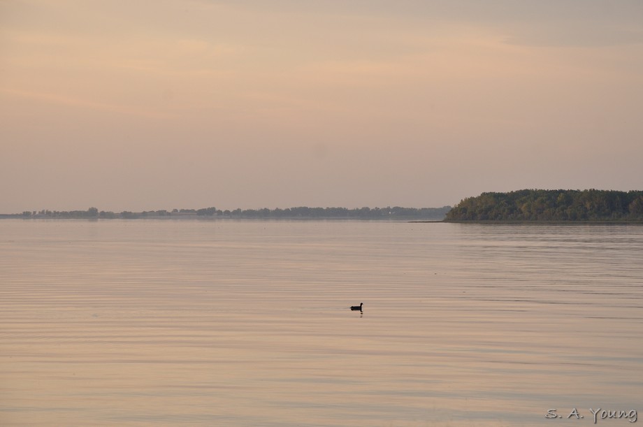 Name:  Lake Lowell 1.jpg
Views: 560
Size:  59.0 KB