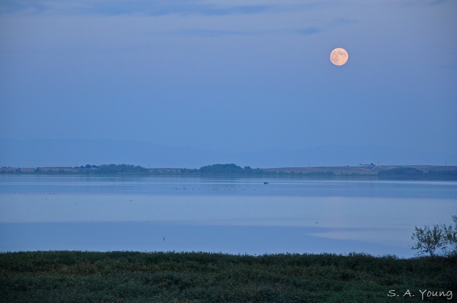 Name:  Lake Lowell 4.jpg
Views: 573
Size:  72.9 KB